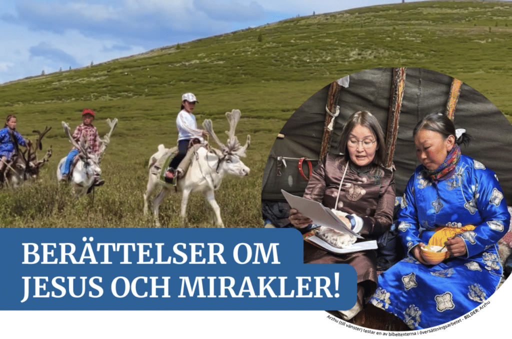 IFB Nyheter nr1/2026